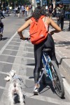 policeman is in top girlwatching form...LOL<br />if this teenaged gal did not know already<br />PERVERTS abound; some come dressed as therapists/doctors/trainers/ and yes lawmen as well......even presidents as in the DONALD-hes got tons of women accusing him of innapropriate behaviour including one just 10 days ago