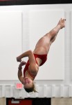 like the dive