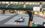 legins-jiujitsu_killer60.jpg