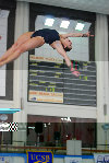 diving7.jpg
