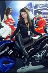 leggings-cars-kj03.jpg