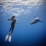 arent afraid of swimming amongst sharks... very james bond like action with her<br />--this is way more dangerous than catching covid19 i can assure you--