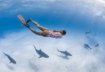all of these pics and videos are shot in the grand cayman islands she explores many shipwrecks without tanks-this is pure freediving