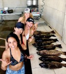 as i had just posted i found that i may not have to travel half-way around the earth to the australasian continent....a mere 3 hour time zone away