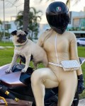 BIKER GIRL