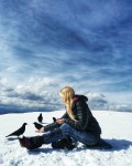 as you can see by this photo....looks like these birds at altitude are more people-friendly