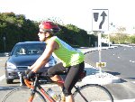 capri bike tights-L.jpg