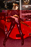 597c-L.jpg