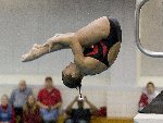 diving1.jpg