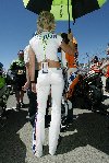 61073.jpg